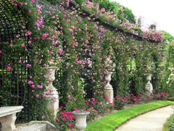 Portes ouvertes et animations  la roseraie du Val de Marne