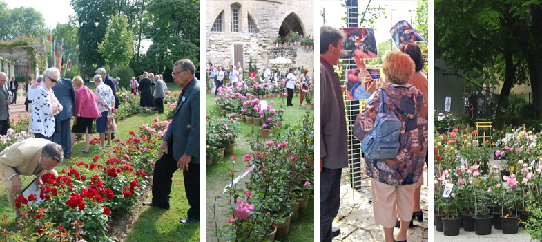 Rencontres, concours de roses nouvelles, vnements, salons ou exposition... Toute l'actualits du monde de la rose